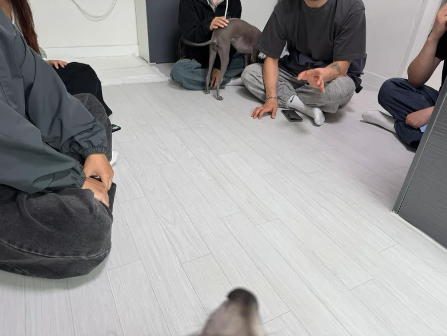 동대문 강아지 방문훈련: 분리불안·짖음 교정 후기 — 사진 4