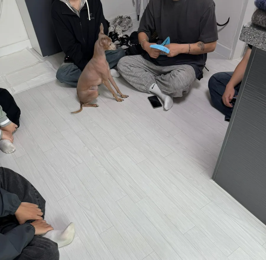 동대문 강아지 방문훈련: 분리불안·짖음 교정 후기 — 사진 5