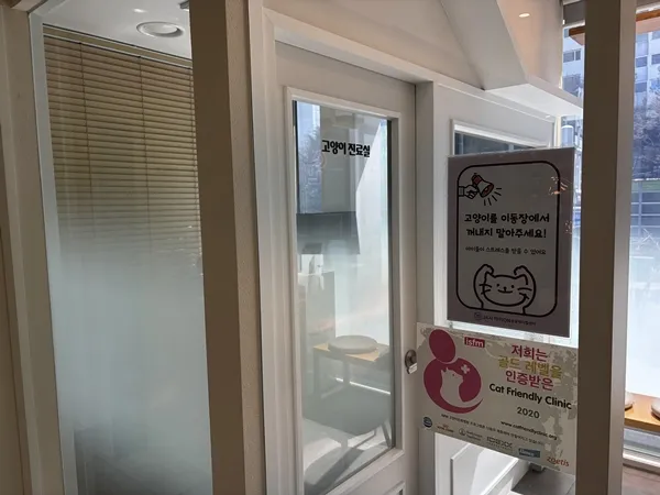 고양이 체리아이 수술, 아이온동물메디컬센터 후기 — 사진 6