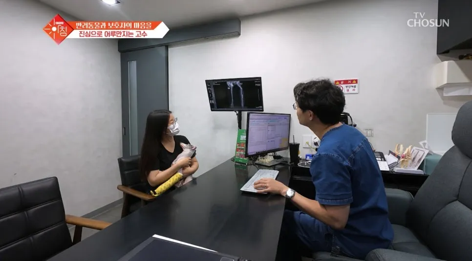 용산구 강아지 슬개골탈구 수술 동물병원 비교 및 후기 — 사진 5
