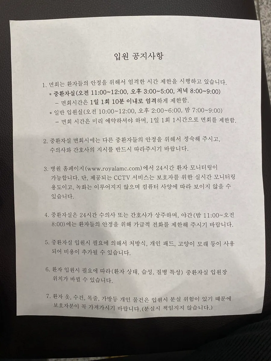 강아지 피하낭종 제거, 로얄동물메디컬센터 수술 후기 및 비용 — 사진 9