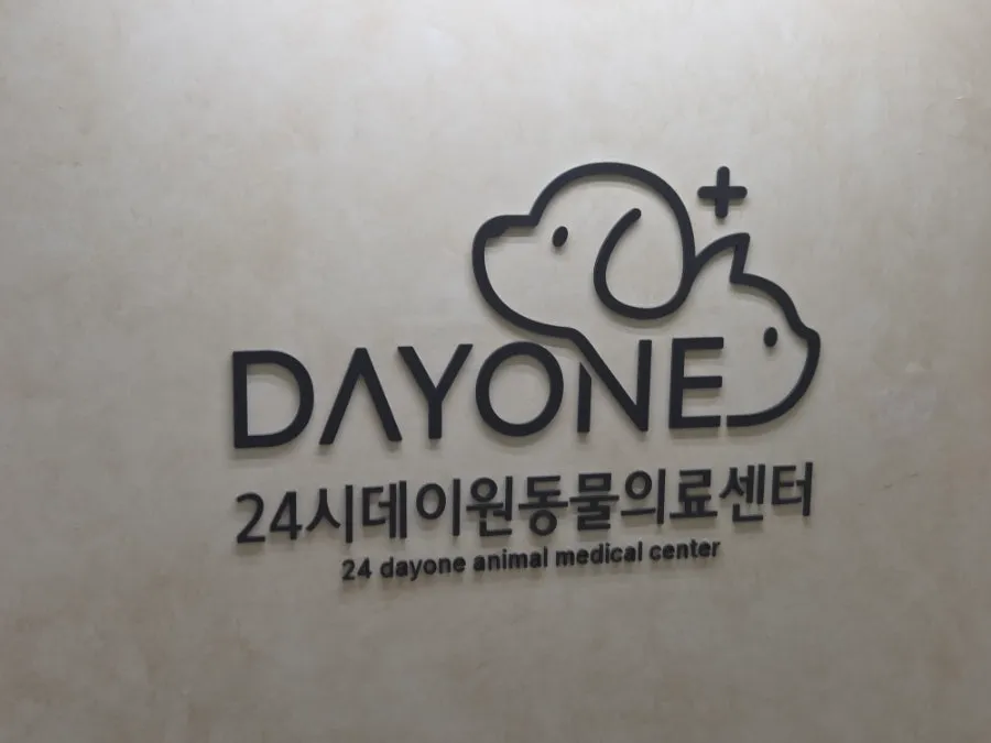 9살 강아지 스케일링 후기: 24시데이원동물의료센터 비용 및 과정