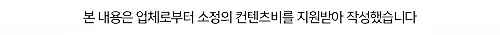 대구 강아지 보호소 하이바이, 입양 전 신중한 결정 돕는 곳 — 사진 16