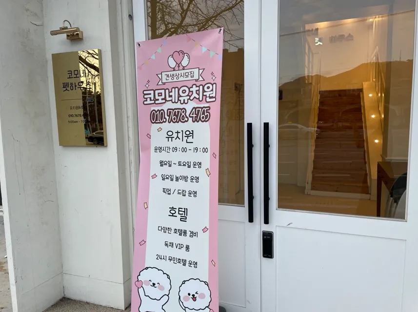 부산 애견호텔 코모네하우스, 미용까지 한 번에 해결 — 사진 2
