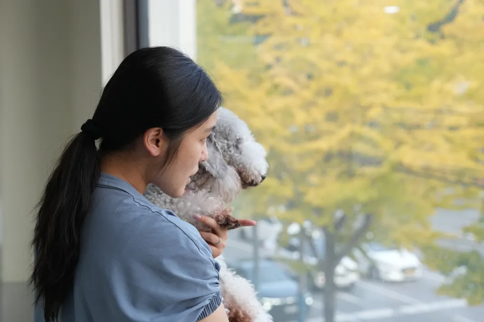 부산 애견호텔 코모네하우스, 미용까지 한 번에 해결 — 사진 4