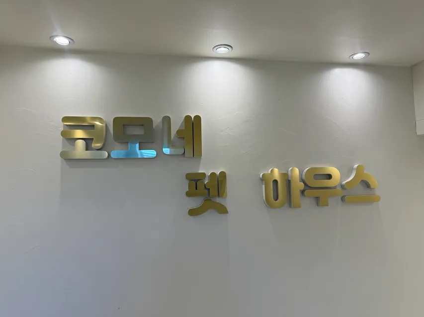 부산 애견호텔 코모네하우스, 미용까지 한 번에 해결 — 사진 11