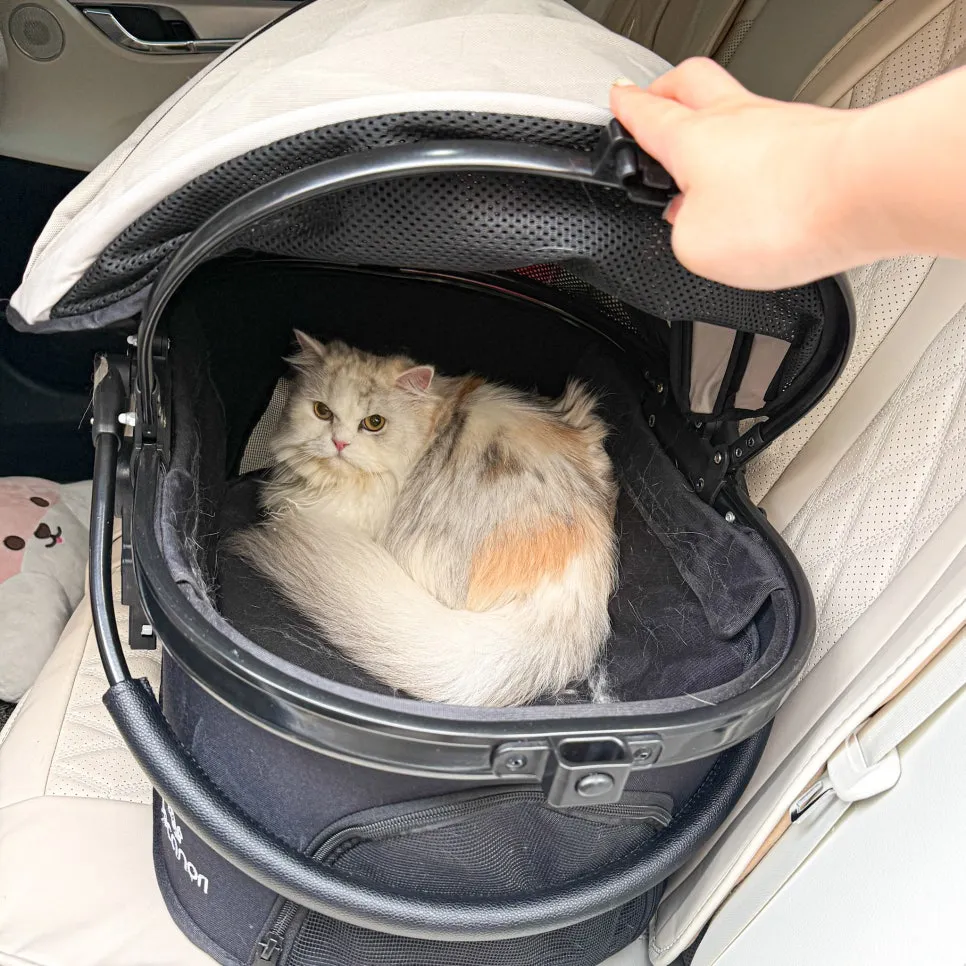 페르시안 고양이 심장병 검사, 강남 루미나 내과동물병원 비용 후기 — 사진 2