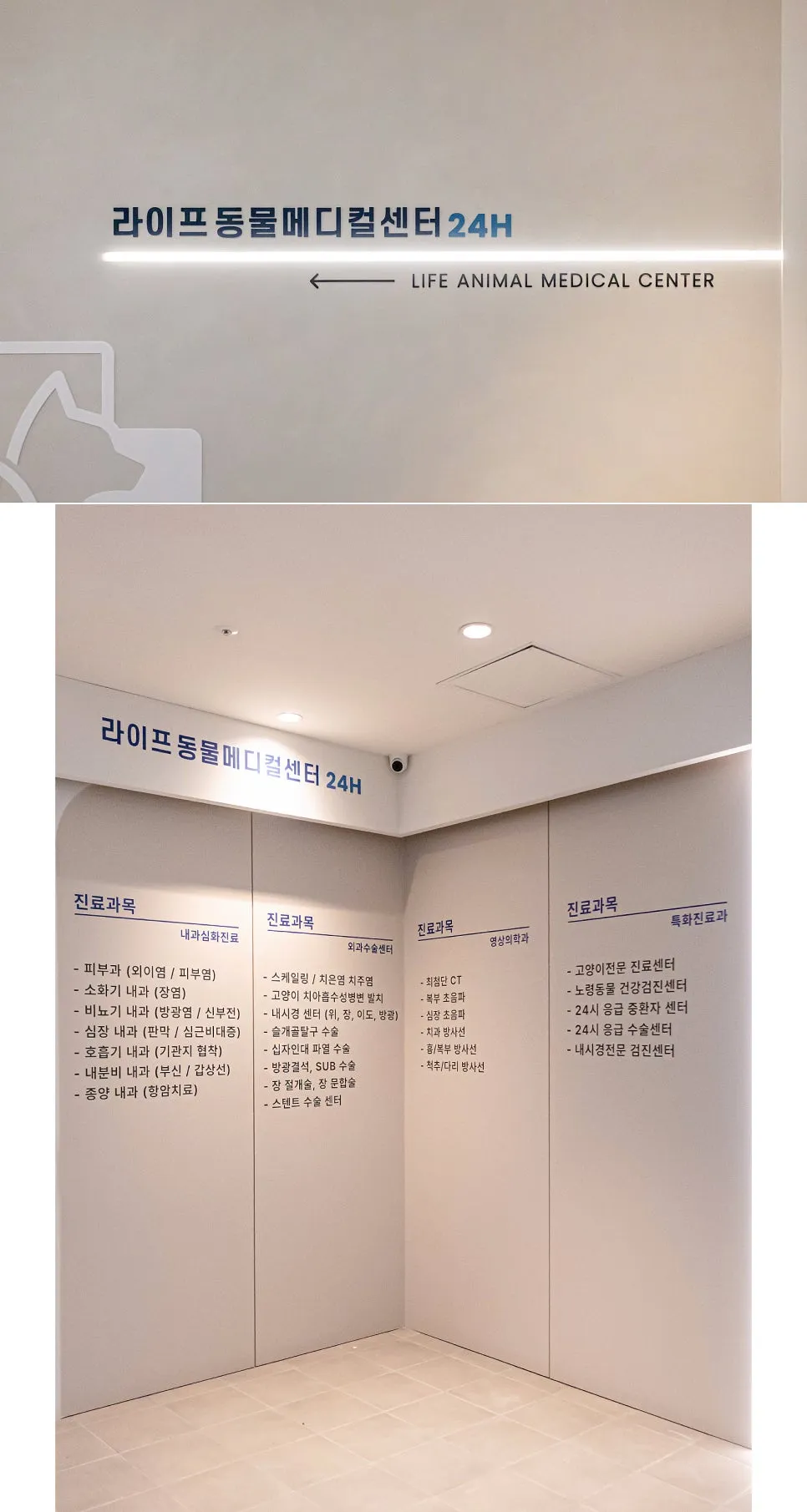 안양 고양이 첫 건강검진: 라이프동물메디컬센터 후기 — 사진 4