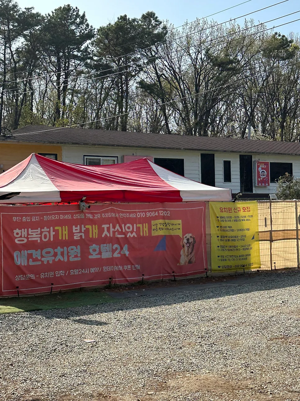 파주 운정 강아지 유치원, 중대형견 사회화 체험 후기 — 사진 7