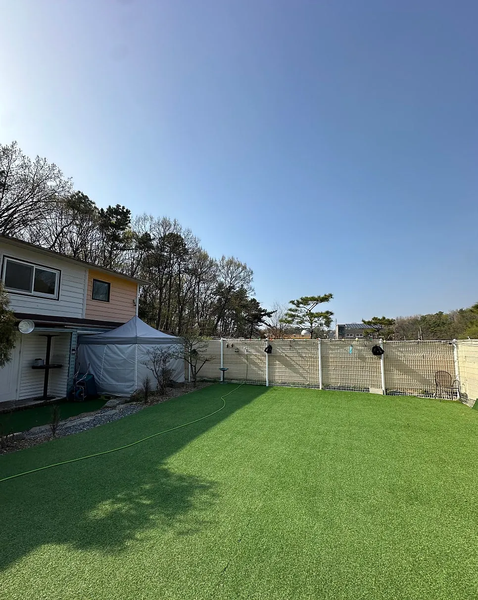 파주 운정 강아지 유치원, 중대형견 사회화 체험 후기 — 사진 10