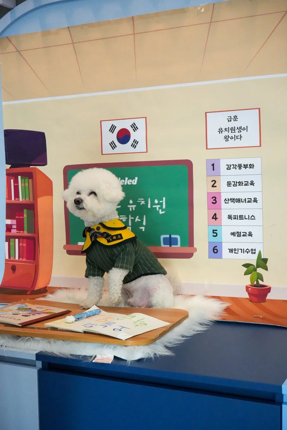 마곡 애견유치원, 옐레드 방문 후기 및 프로그램 안내 — 사진 3