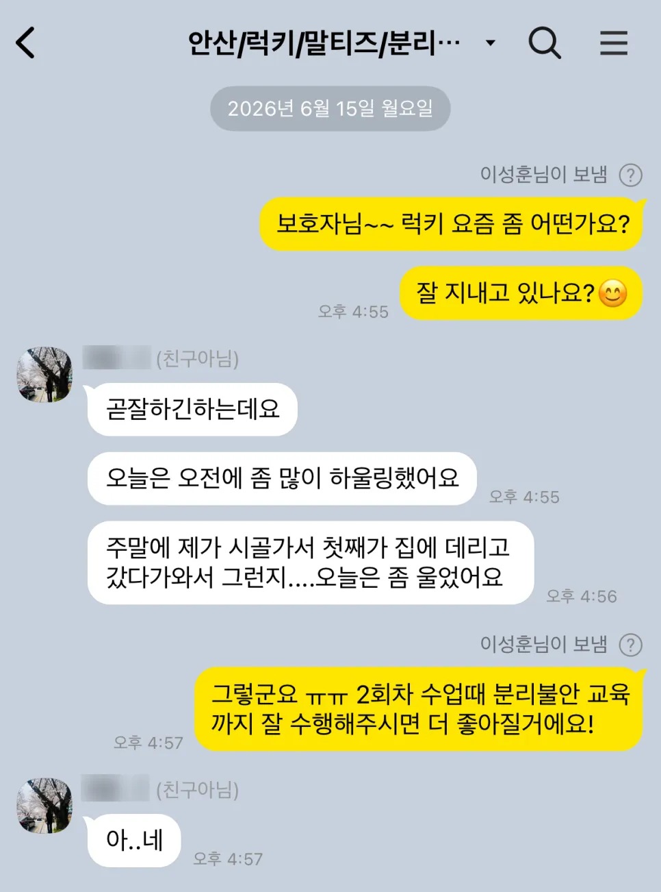 안산 노견 말티즈 분리불안 방문교육 성공 후기 — 사진 13