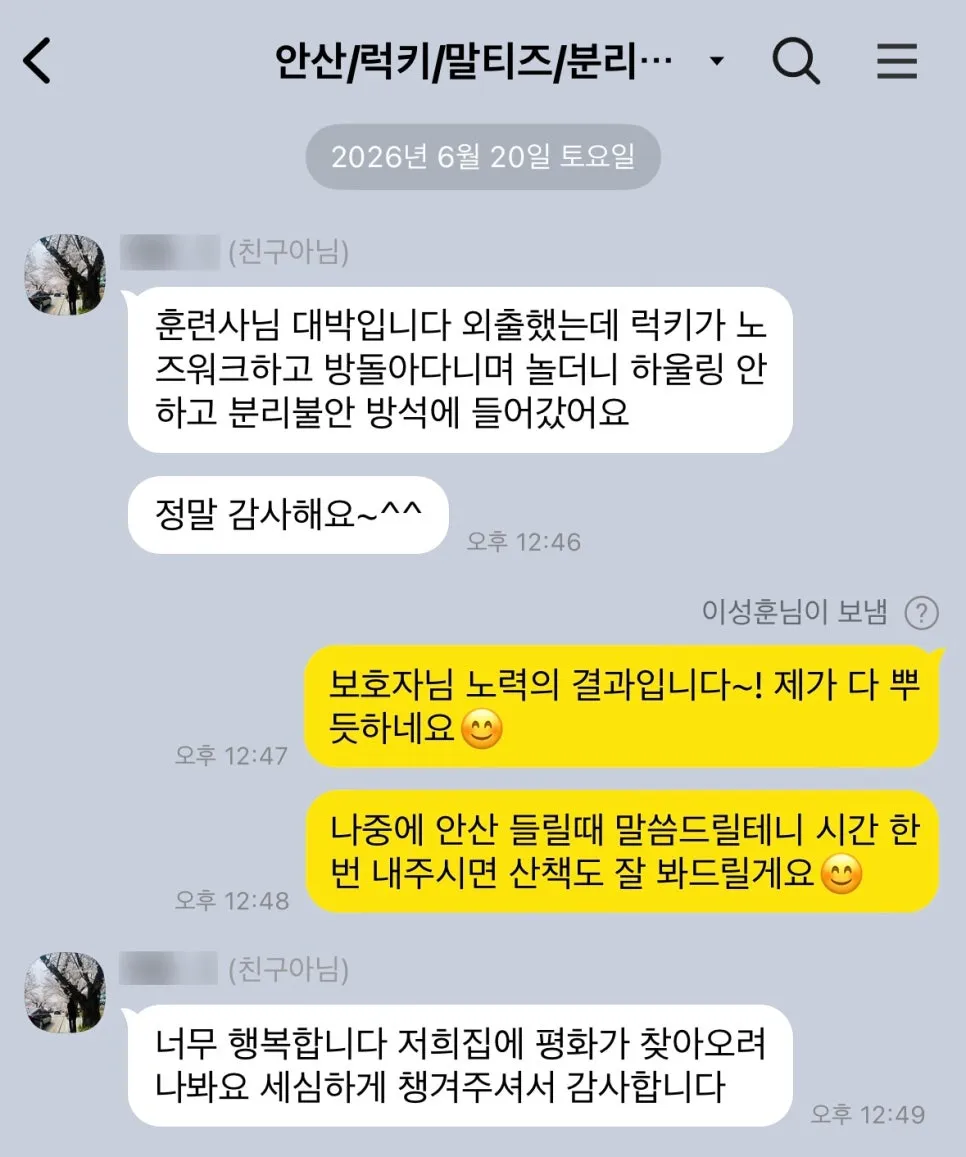 안산 노견 말티즈 분리불안 방문교육 성공 후기 — 사진 16