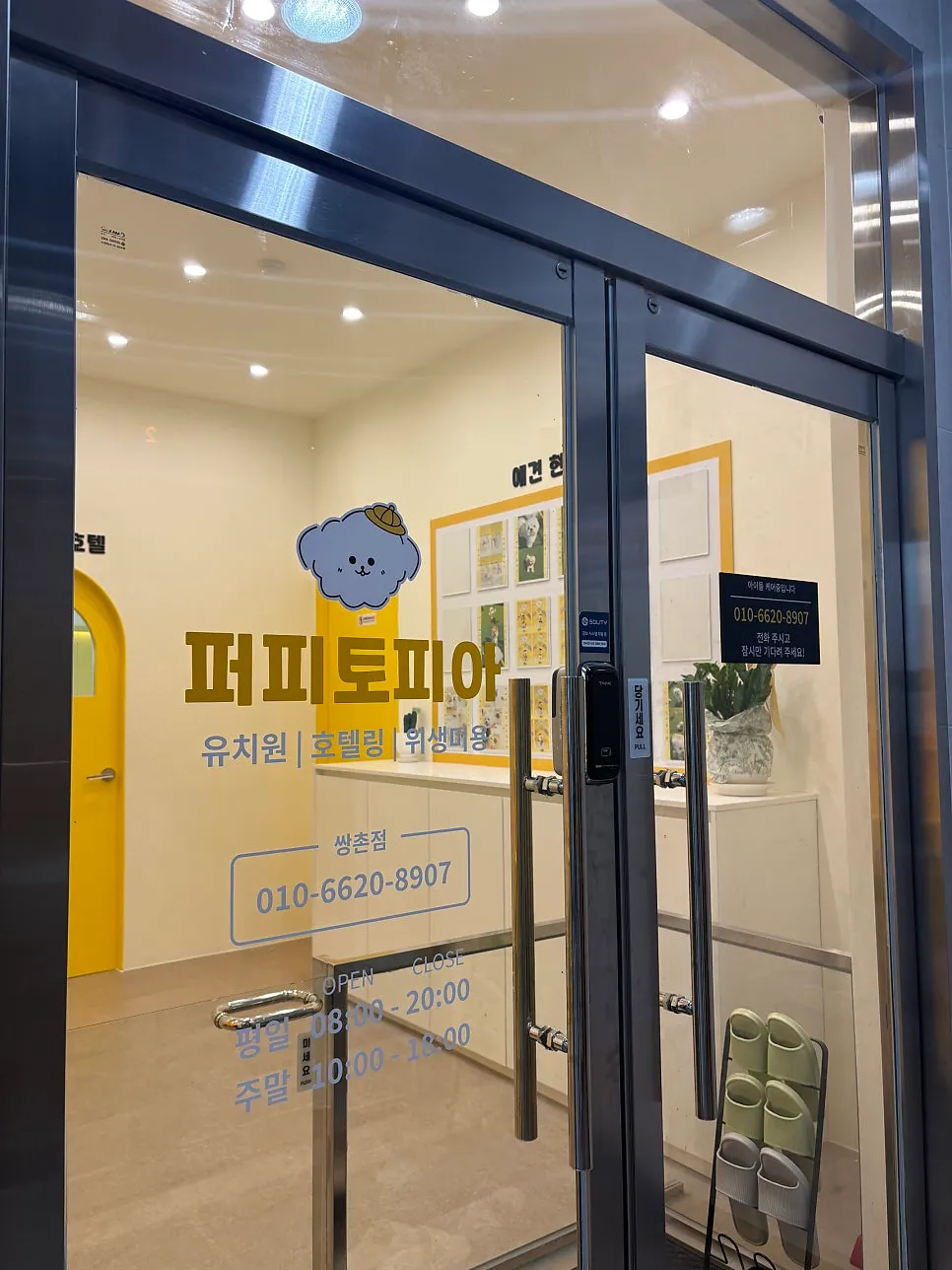 광주 CCTV 애견 호텔링, 퍼피토피아 쌍촌점 후기 — 사진 2