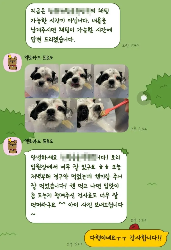 말티푸 슬개골 수술 후기: 부산 동물병원 비용 및 입원 정보 — 사진 10