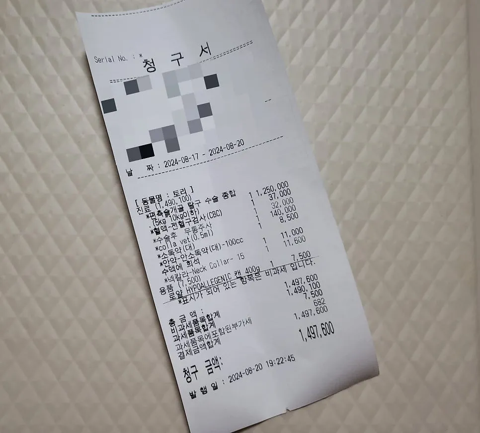 말티푸 슬개골 수술 후기: 부산 동물병원 비용 및 입원 정보 — 사진 18