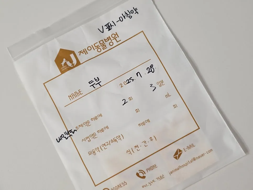 강아지 스케일링 비용, 노견 치석 제거 및 발치 후기 — 사진 5