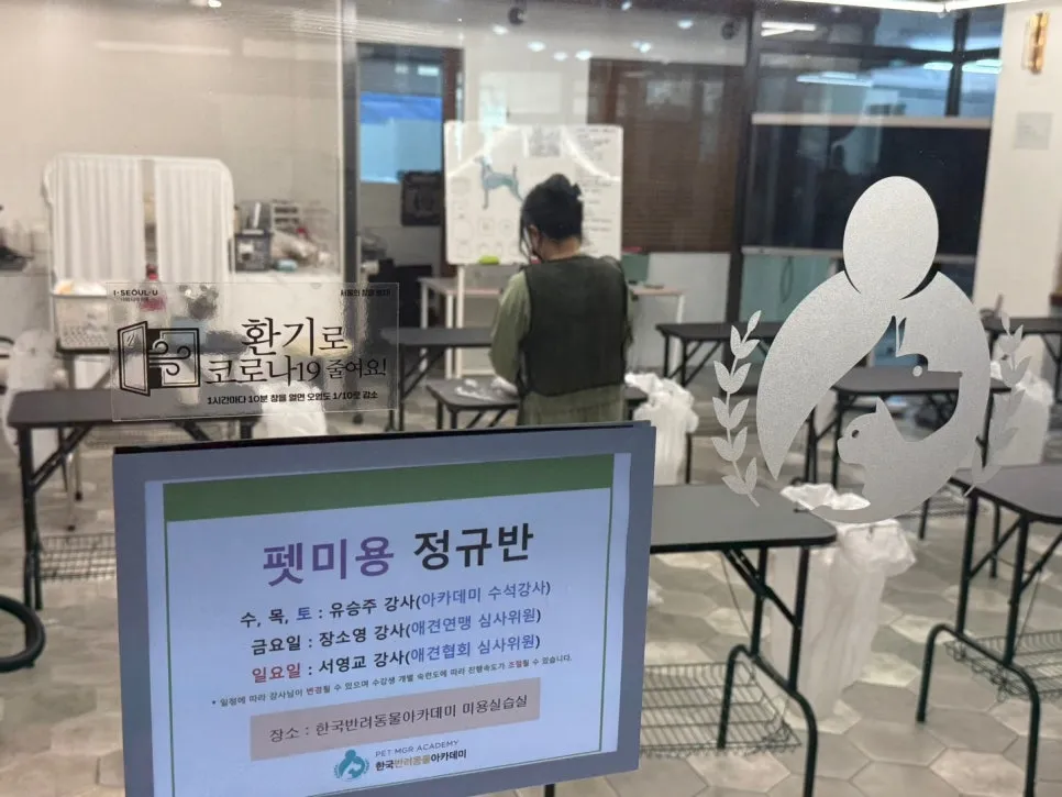 푸들 출장 애견미용 창업, 월 300만원 이상 수익 비결 공개 — 사진 3