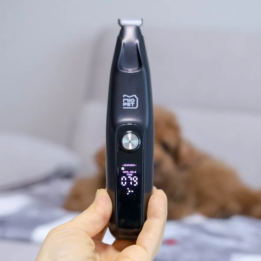 강아지 발바닥 털 셀프 미용, 미오펫 LED 클리퍼 후기 — 사진 7
