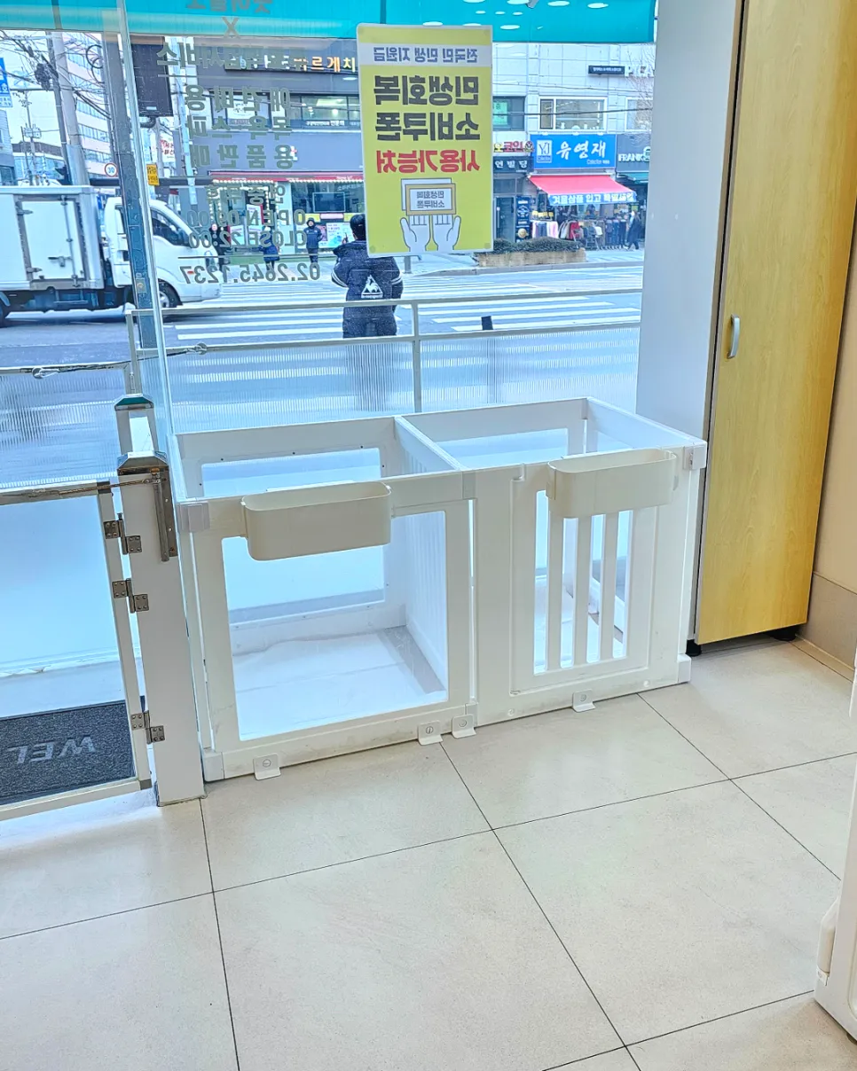 신정동 꼬똥 드 툴레아 전체가위컷 미용 후기 — 사진 5