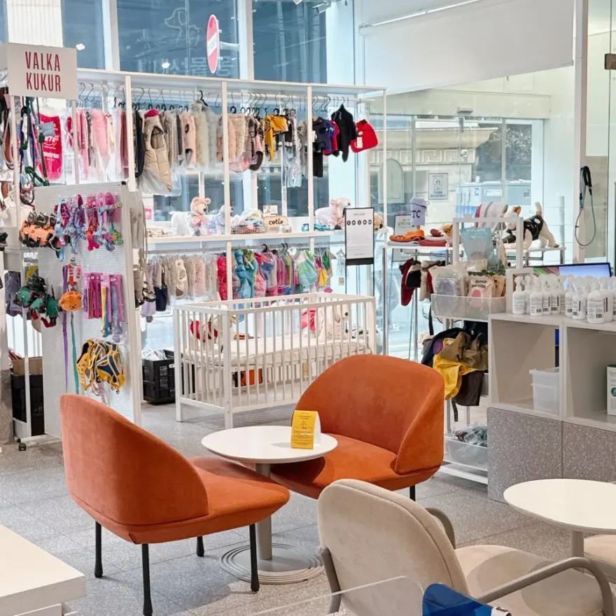 강남 애견동반카페 놀로 스퀘어, 편안한 휴식 공간 — 사진 5