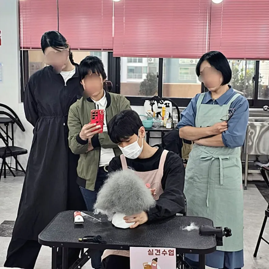 노원 애견미용학원 실견수업 중요성 및 선택 가이드 — 사진 2
