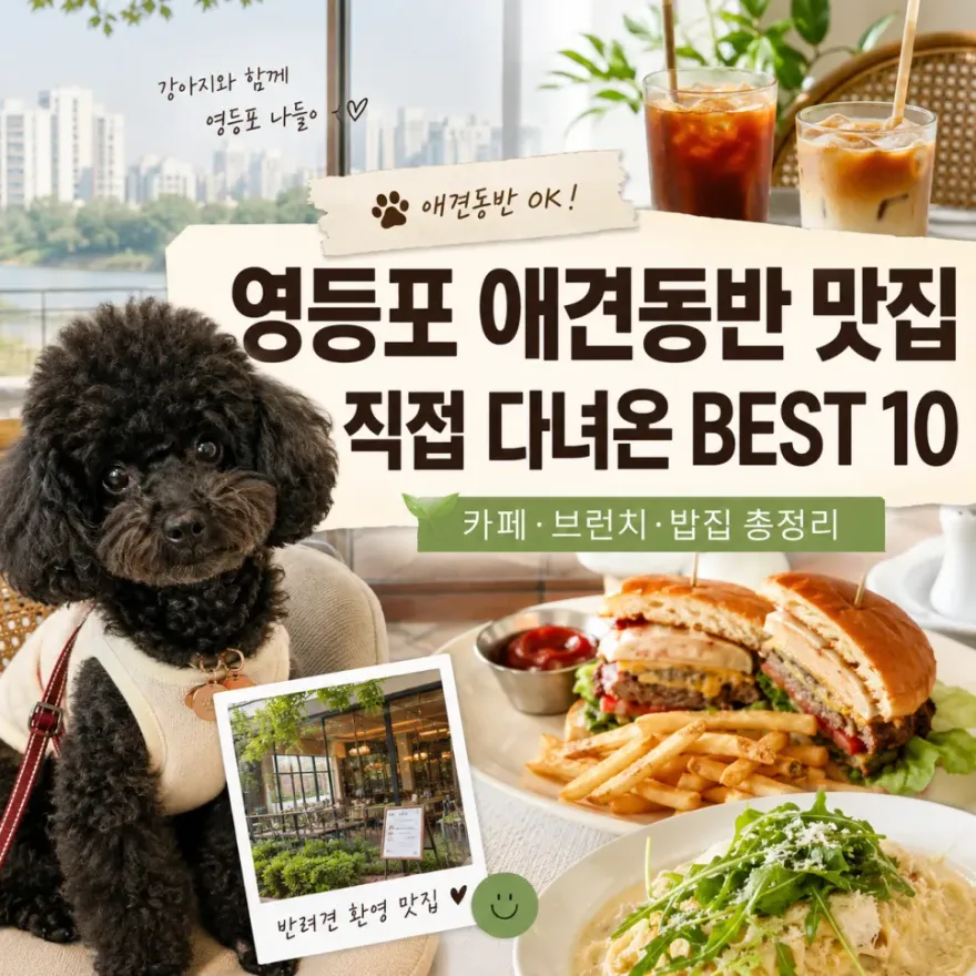 영등포 강아지 동반 맛집 BEST 10: 로키와 직접 다녀온 후기 — 사진 2