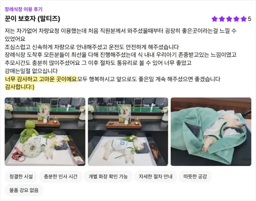 김포 강아지 장례식장 추천 및 비용 안내 — 사진 14