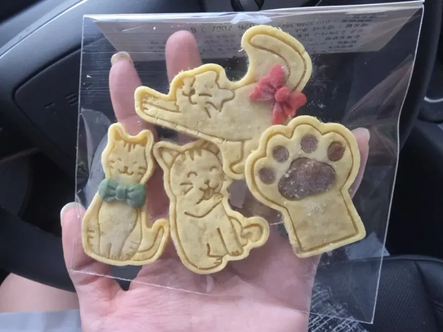 부평 애견수제간식 댕누리: 건강한 간식과 특별한 경험 — 사진 15