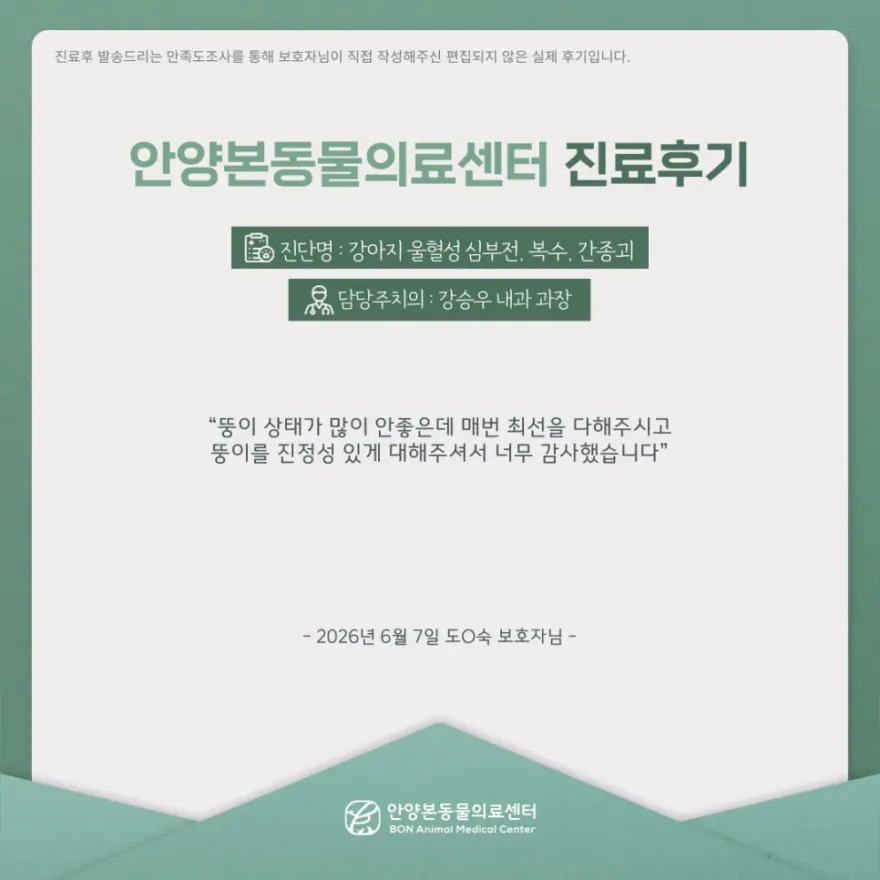 안양본동물의료센터 24시 진료 후기 및 비용 안내 — 사진 3