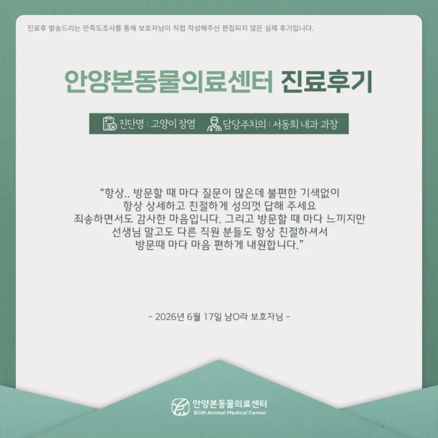안양본동물의료센터 24시 진료 후기 및 비용 안내 — 사진 6