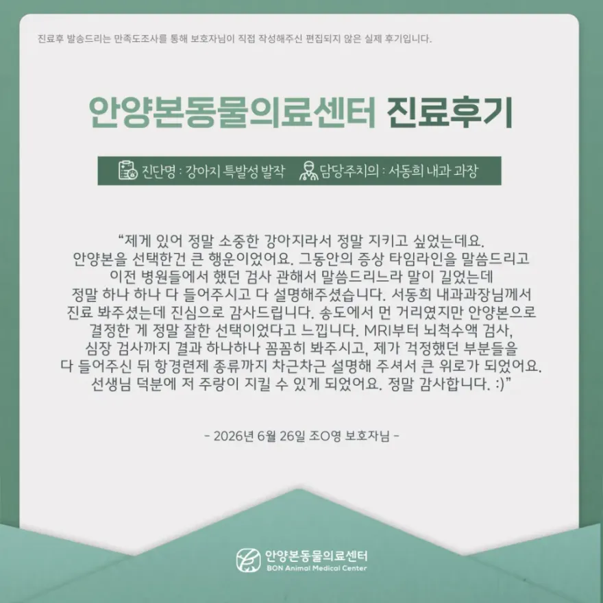 안양본동물의료센터 24시 진료 후기 및 비용 안내 — 사진 8