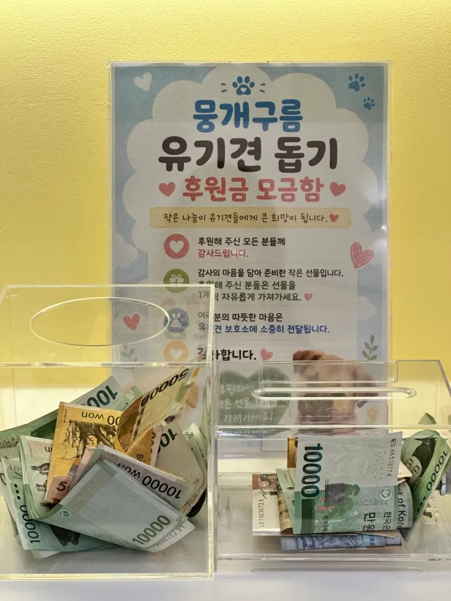 안양 뭉개구름 유기견 바자회, 따뜻한 나눔 후기 — 사진 11